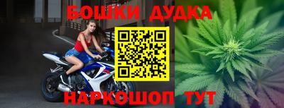 молекула духа Ставрополь