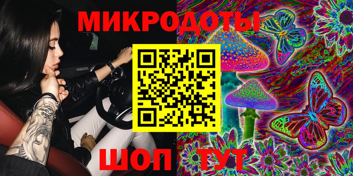 Галлюциногенные грибы Psilocybine cubensis Назарово