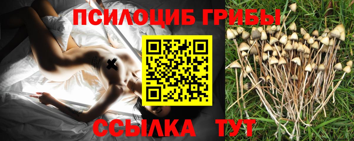 Галлюциногенные грибы ЛСД  Вход с VPN  Назарово 